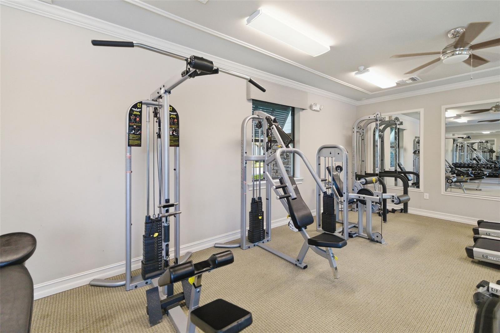 Image 51 of 78 For 11937 Blazing Star Dr