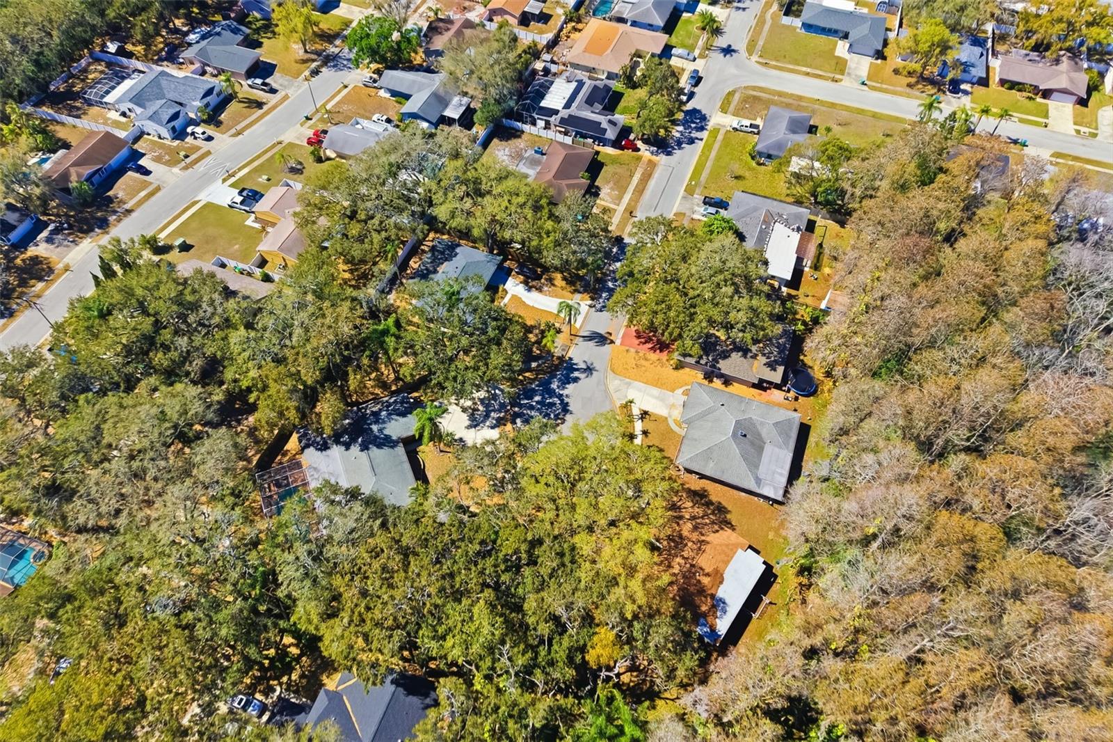 Image 55 of 63 For 186 Sunward Avenue