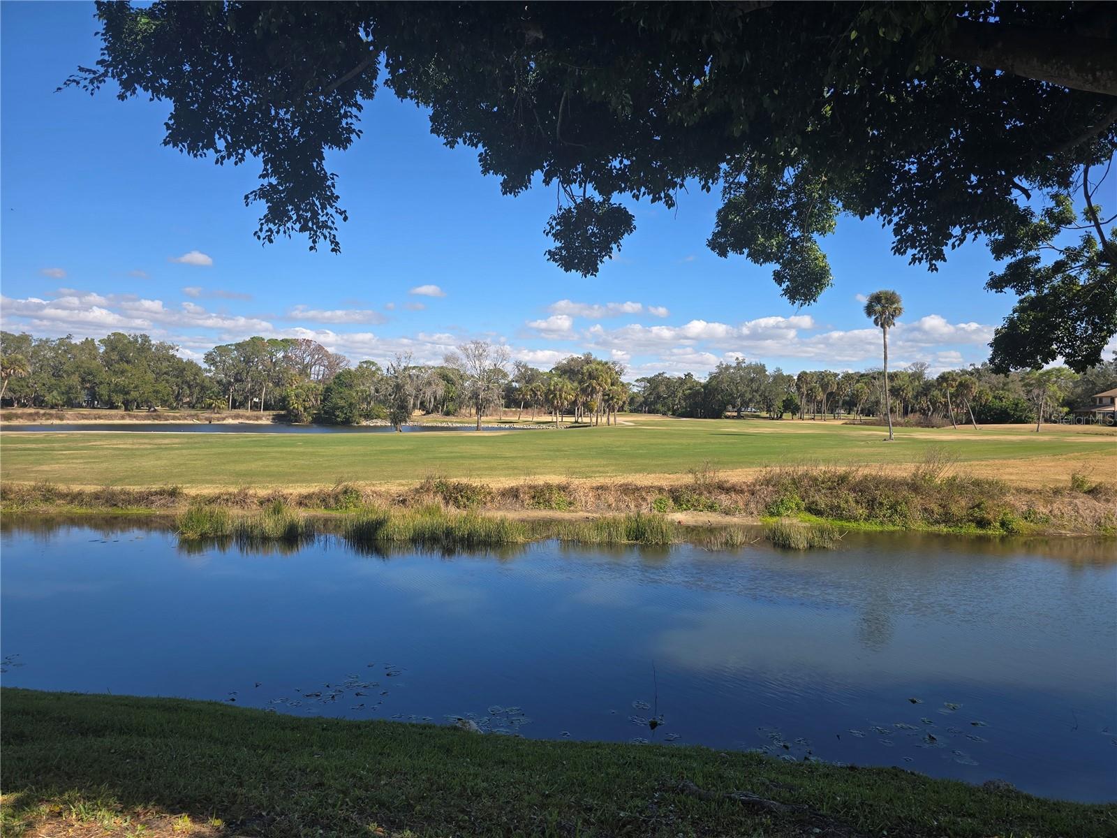 Image 31 of 36 For 4617 Forest Wood Trail 8