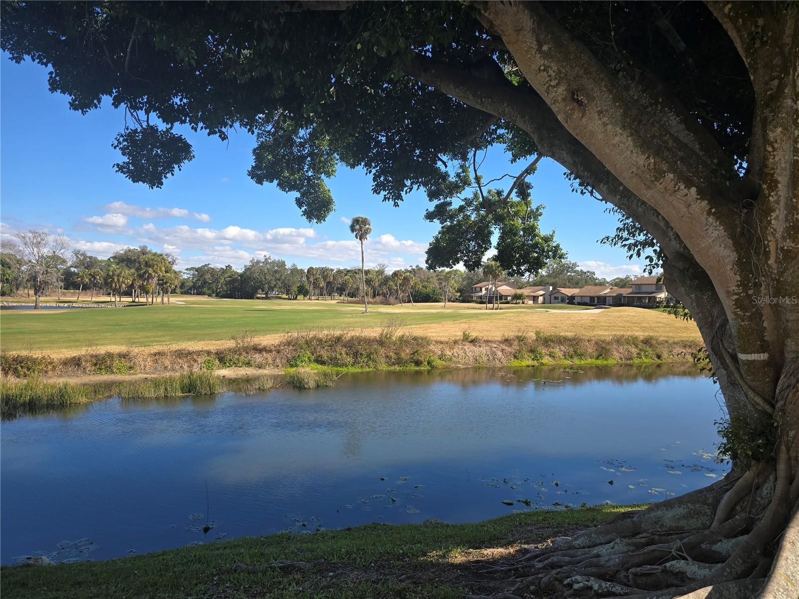 Image 32 of 36 For 4617 Forest Wood Trail 8