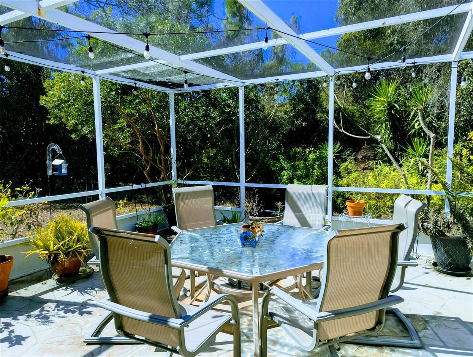 Image 19 of 44 For 4812 Limetree Lane