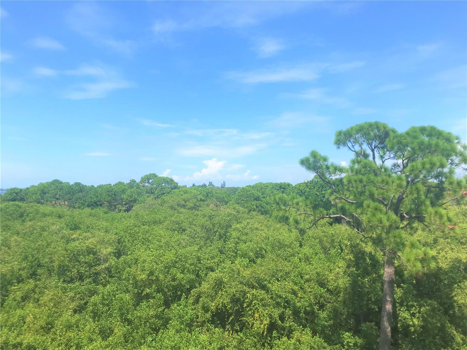 Image 10 of 46 For 7710 34th Avenue W 303