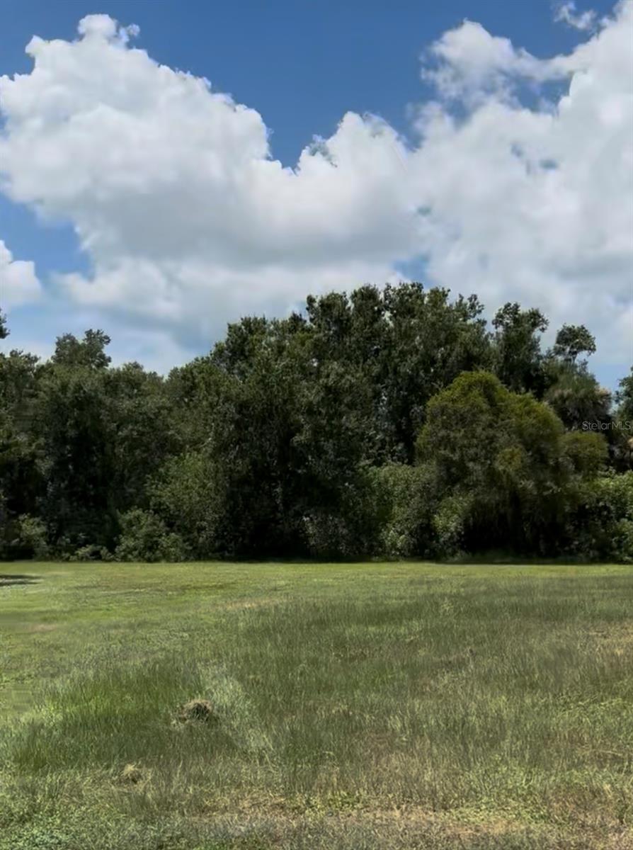 Listing photo id 0 for 2901 Curry Lane