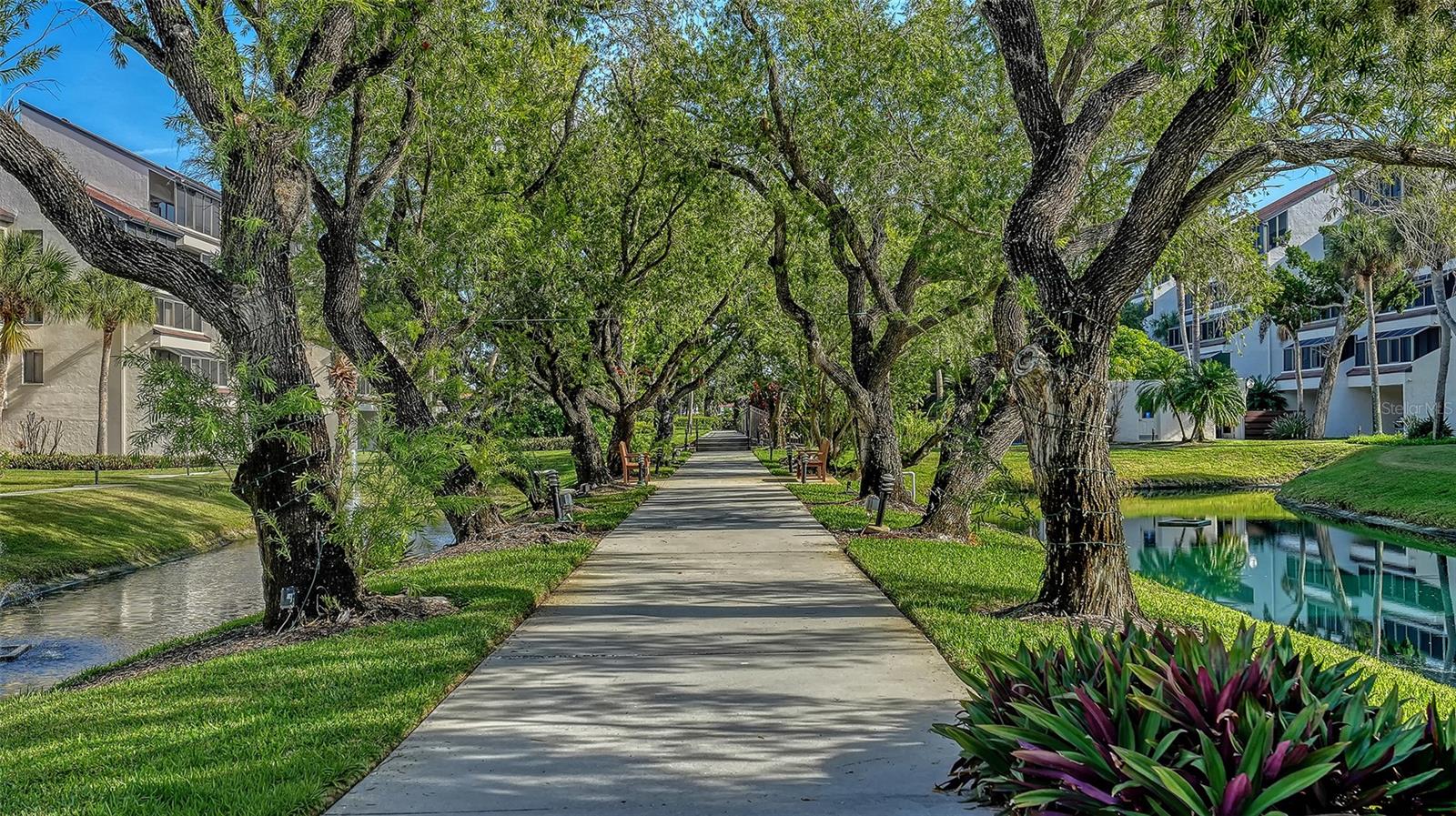 Listing photo id 37 for 6275 Midnight Pass Road 6275