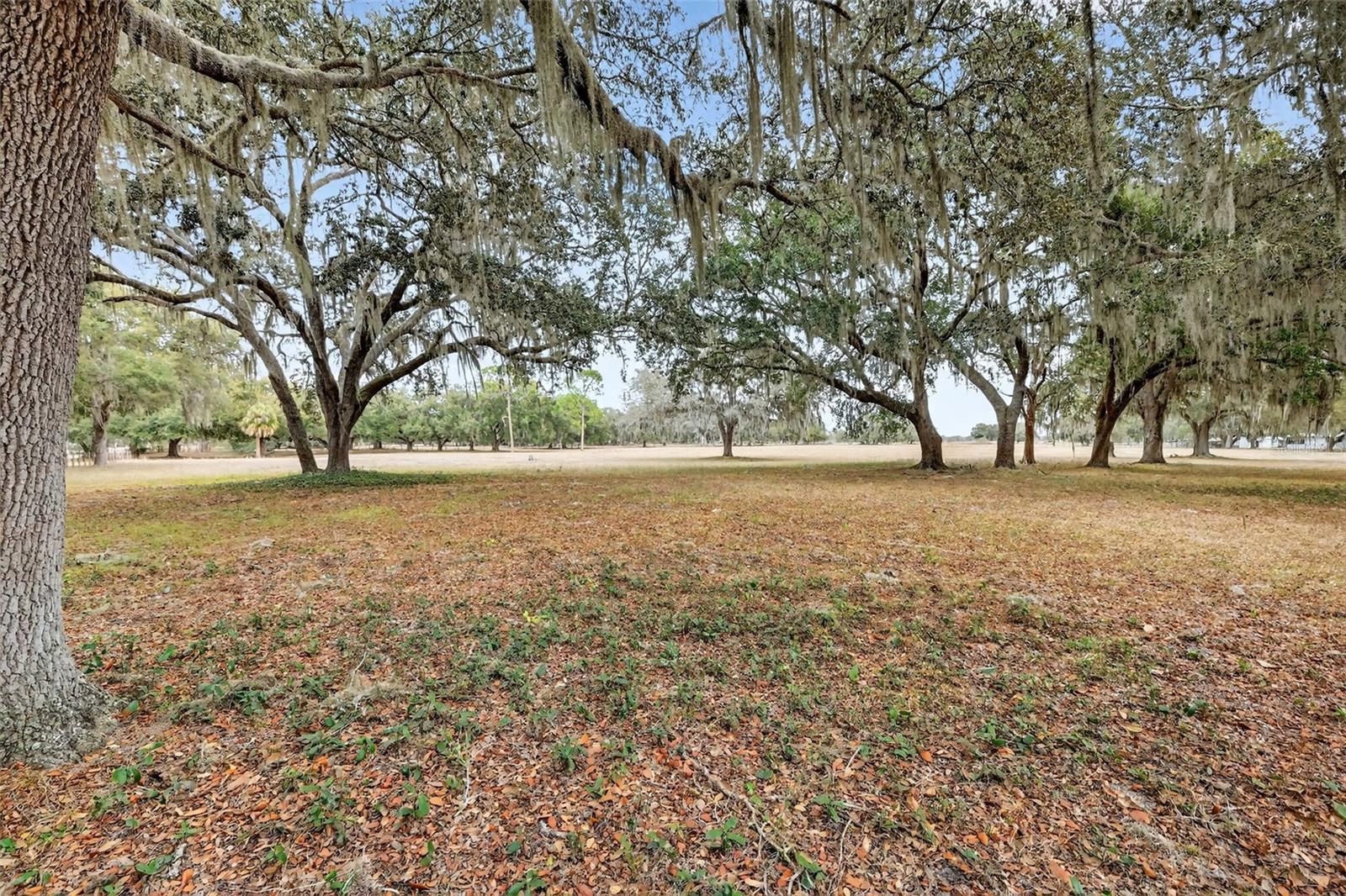 Image 58 of 58 For 4533 37th Terrace