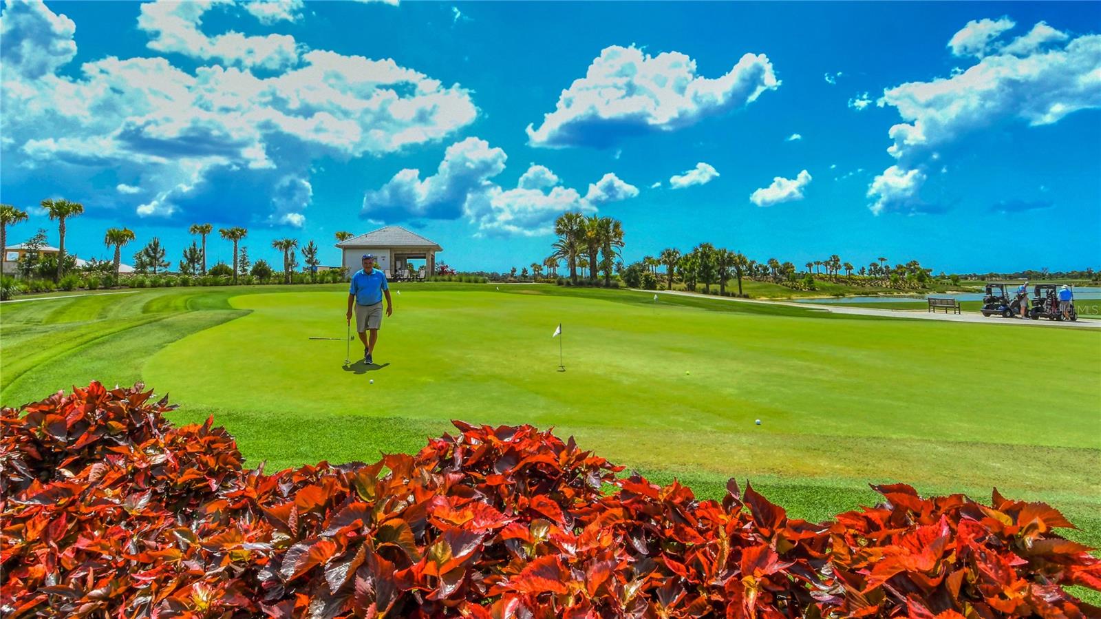 Image 67 of 72 For 16139 Isola Place