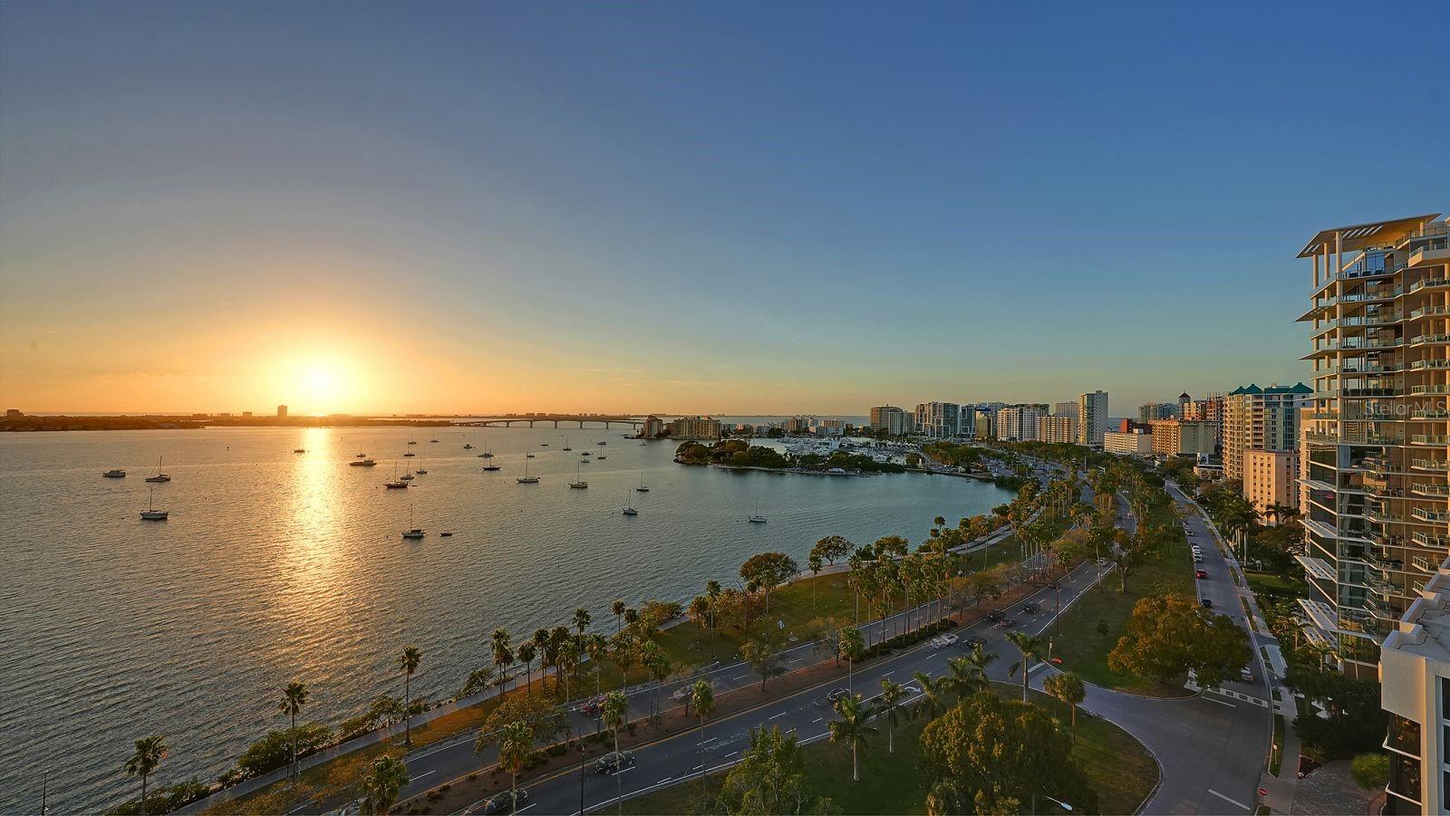 Image 6 of 83 For 770 Palm Avenue 2