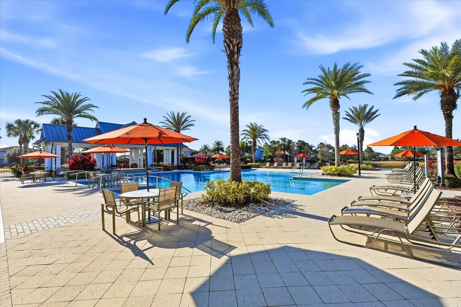 Image 50 of 78 For 12007 Perennial Place