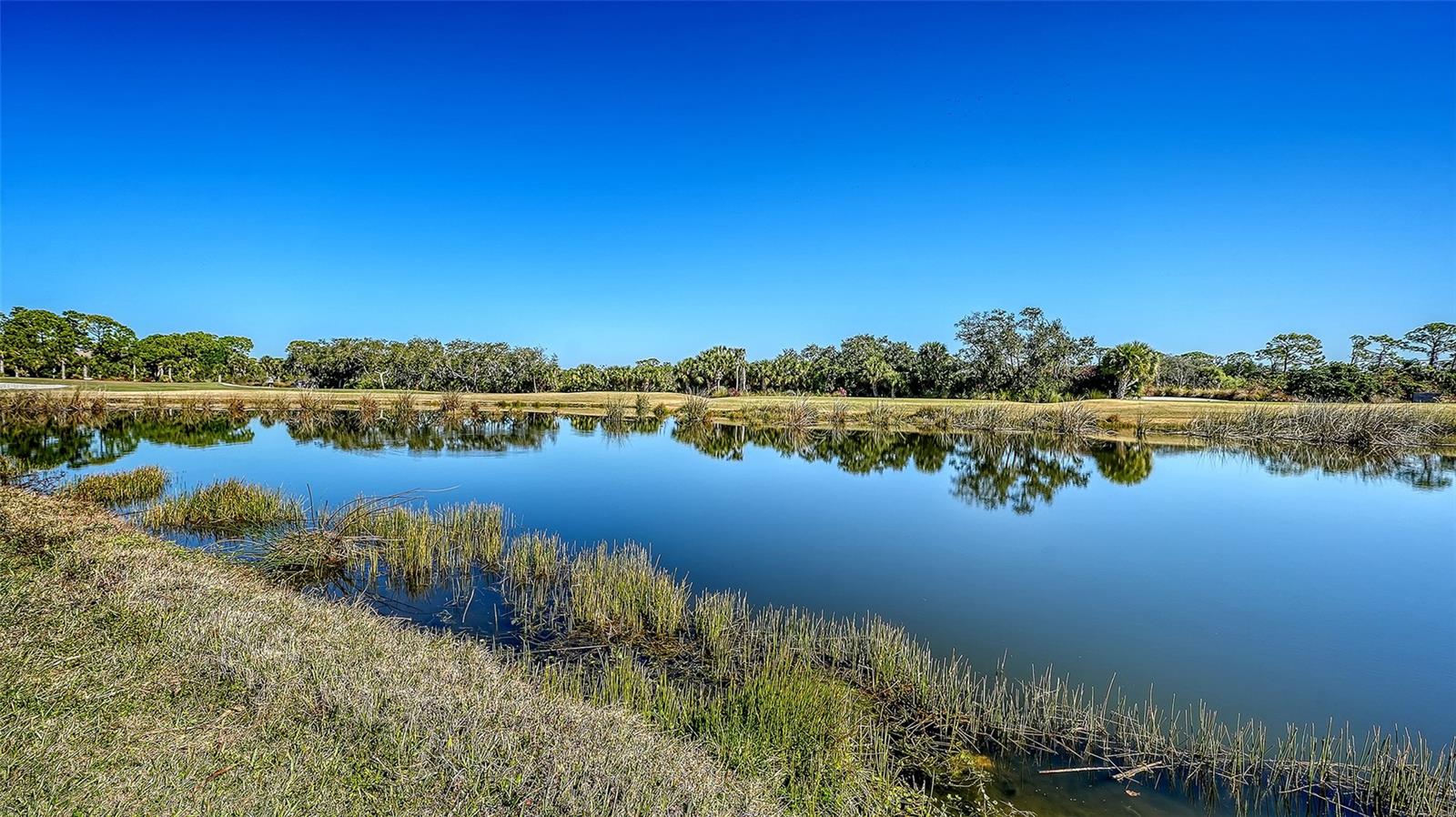 Image 15 of 78 For 9447 Forest Hills Circle