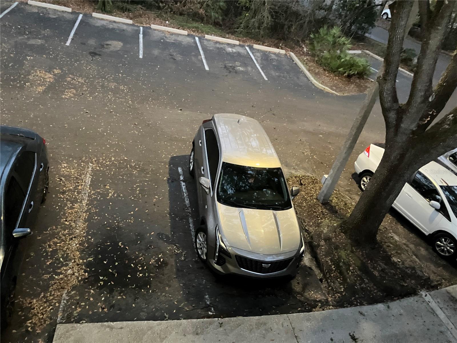 Image 65 of 78 For 85 16th Avenue F302