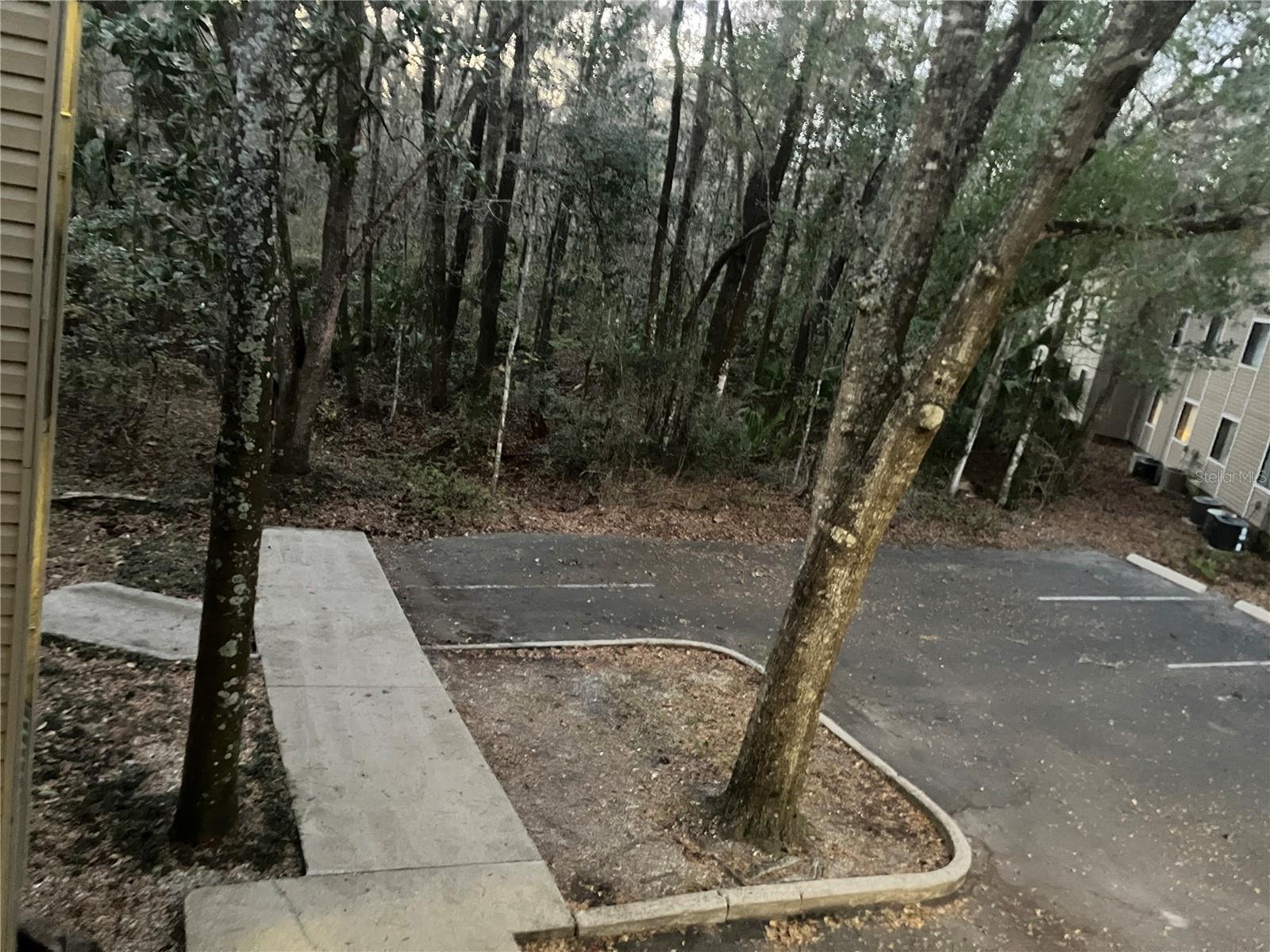 Image 66 of 78 For 85 16th Avenue F302