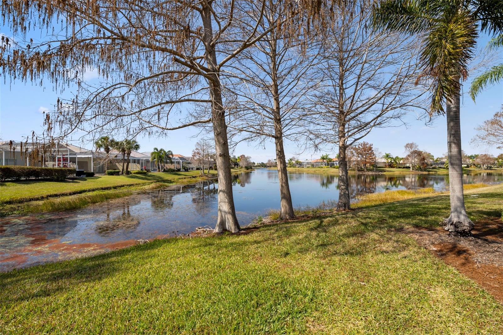 Image 19 of 60 For 7772 Camminare Drive