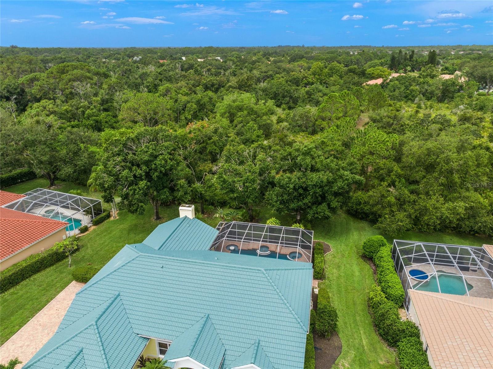 Image 43 of 78 For 8452 Eagle Preserve Way