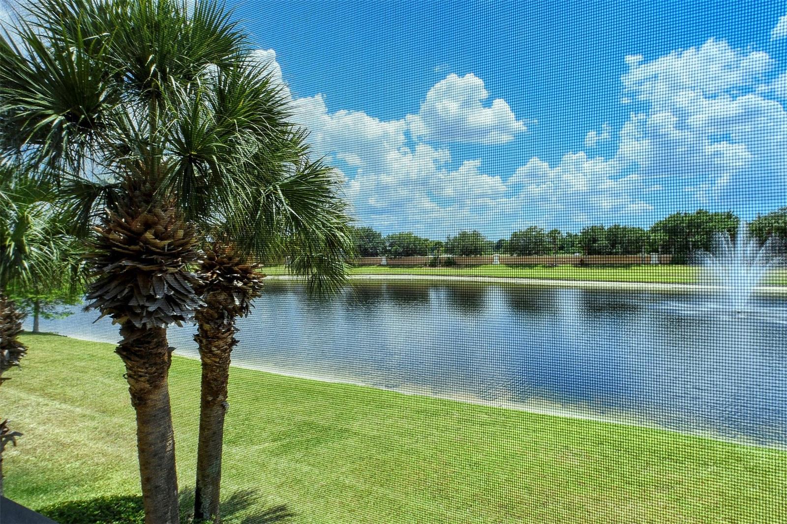 Image 8 of 73 For 8363 Miramar Way 203