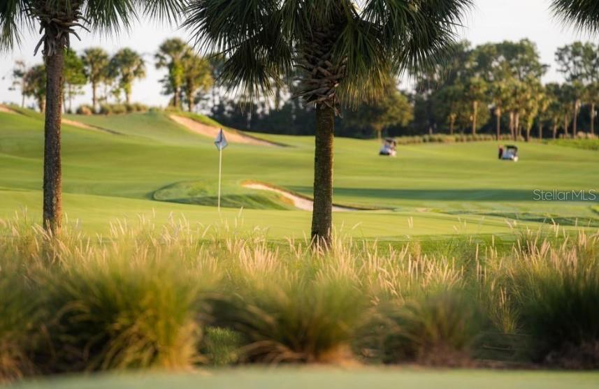 Image 99 of 99 For 5641 Arnie Loop