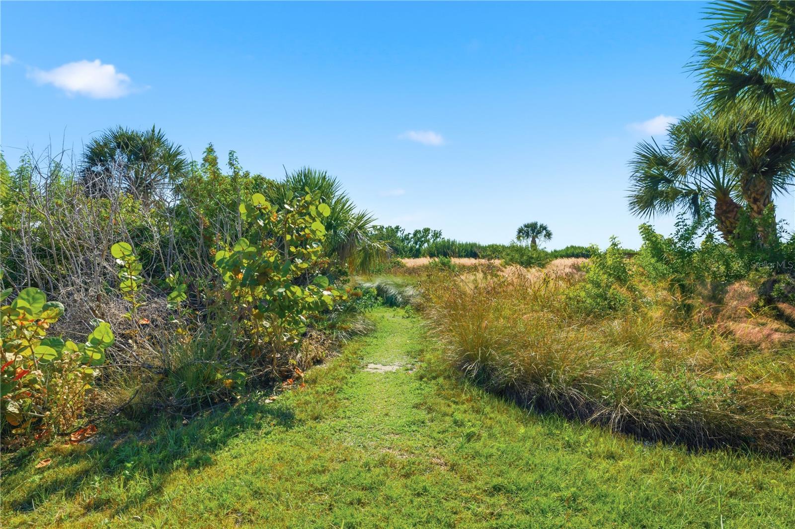 Image 59 of 69 For 450 Beach Road 3