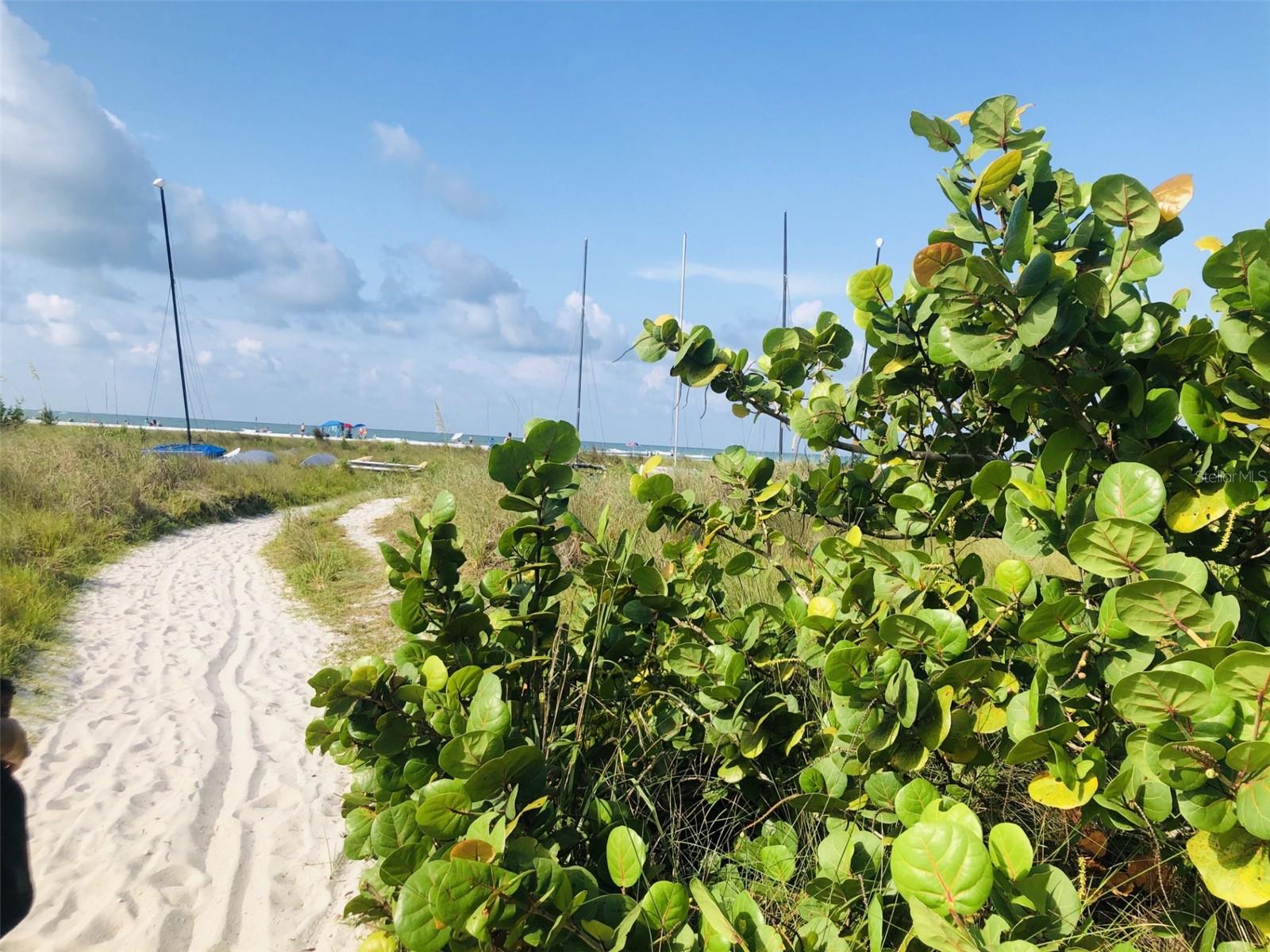 Image 63 of 69 For 450 Beach Road 3