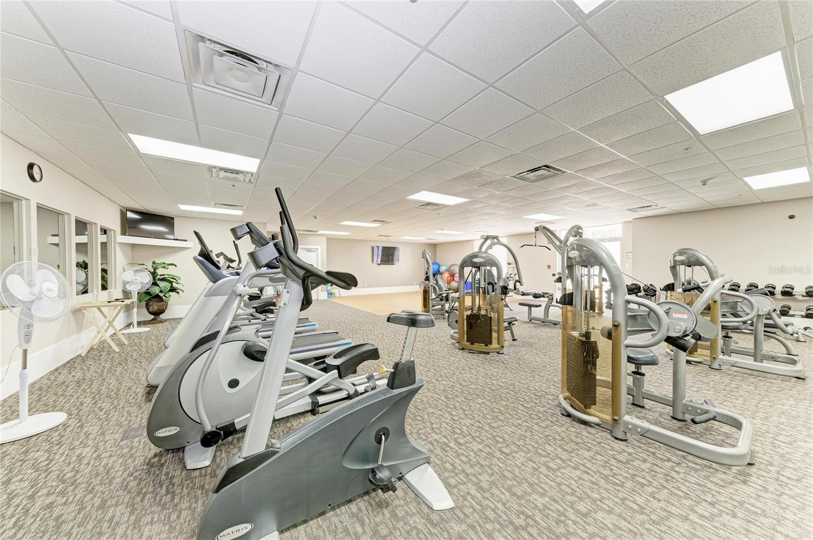 Image 42 of 62 For 808 3rd Avenue W 209