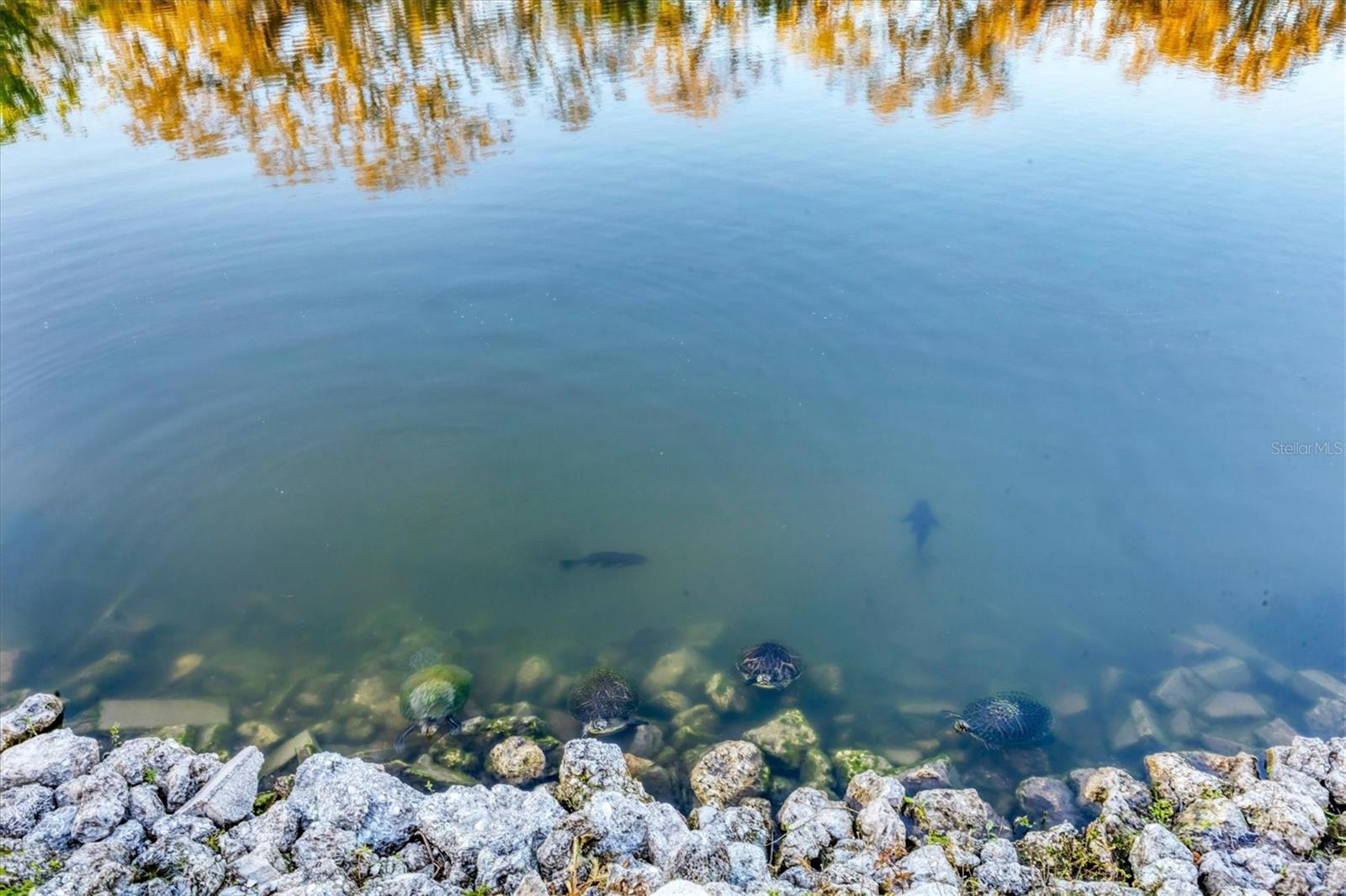 Image 29 of 56 For 3912 14th Street E