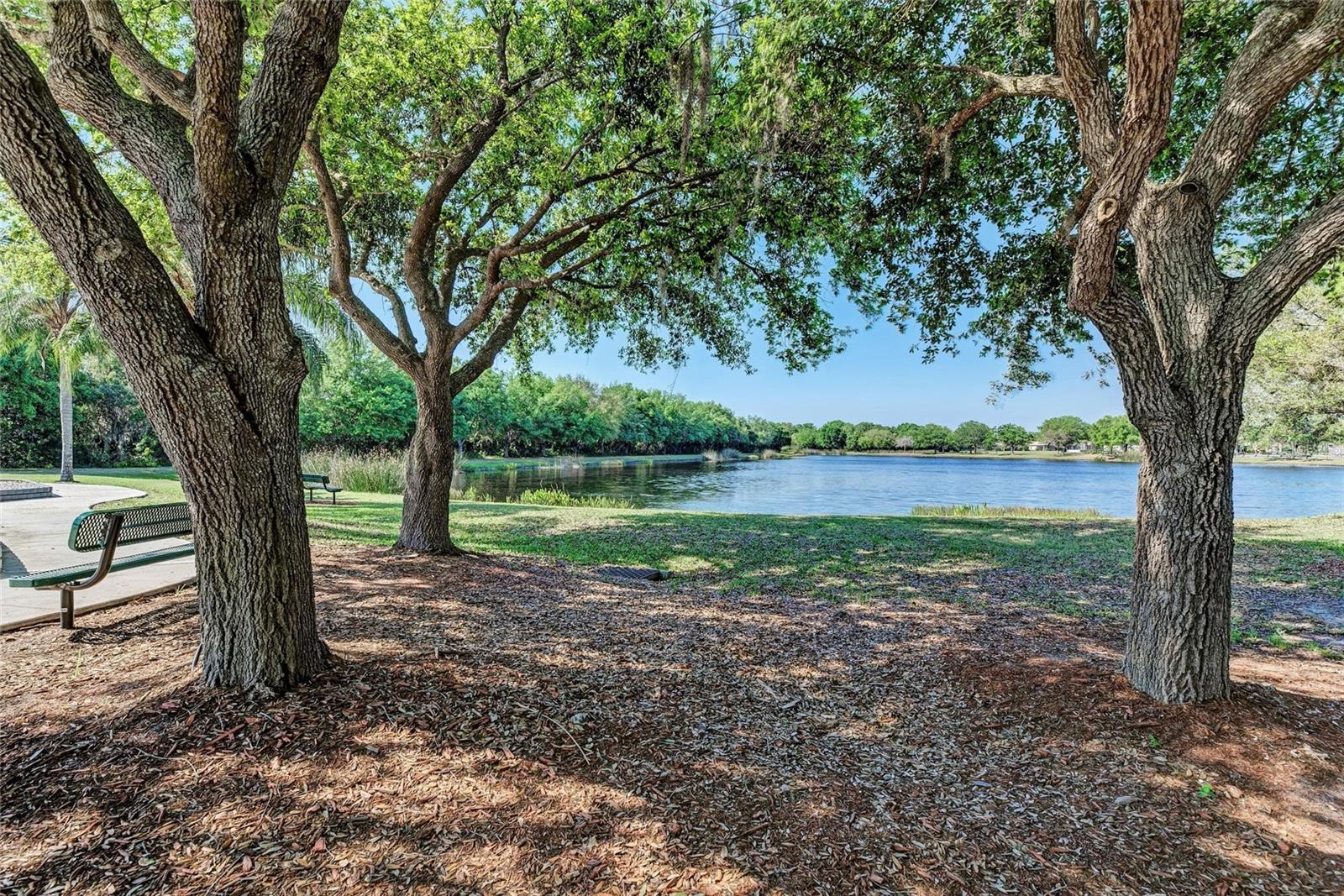 Image 57 of 64 For 12502 Goldenrod Avenue