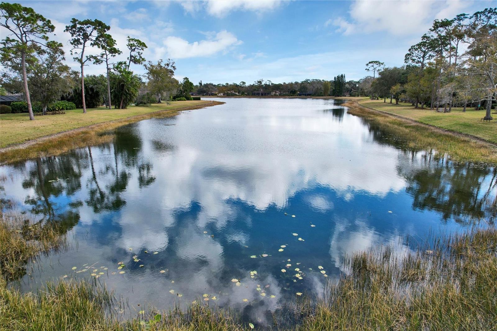 Image 58 of 62 For 7307 Weeping Willow Drive