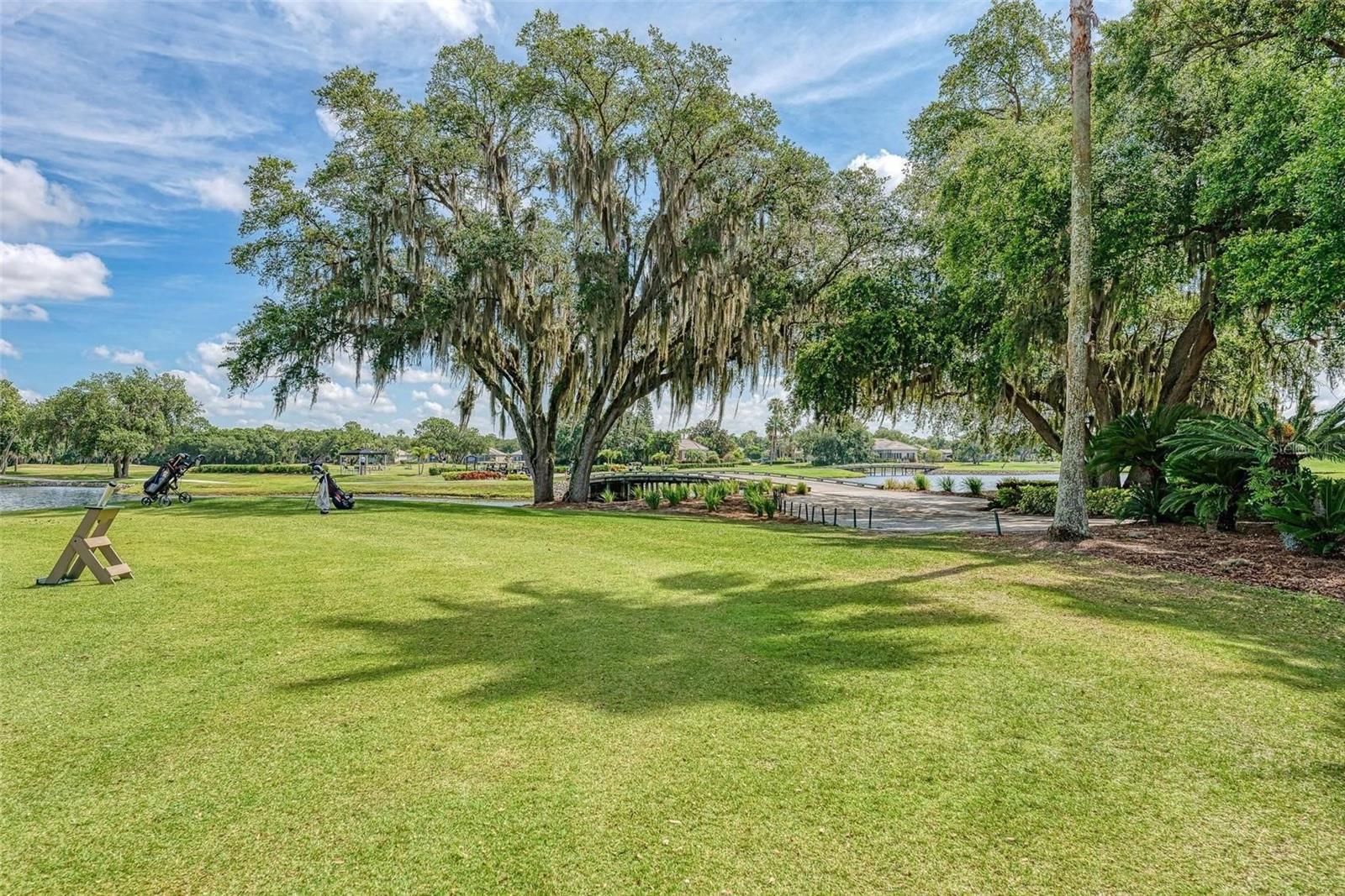 Image 65 of 65 For 8732 54th Avenue E