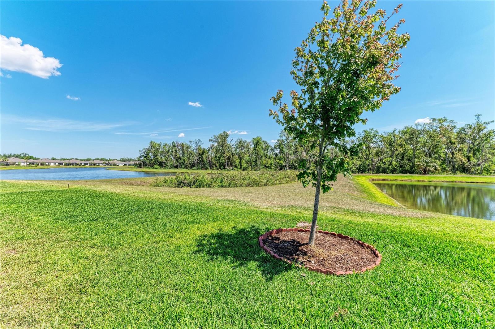 Image 66 of 81 For 12664 Oak Hill Way