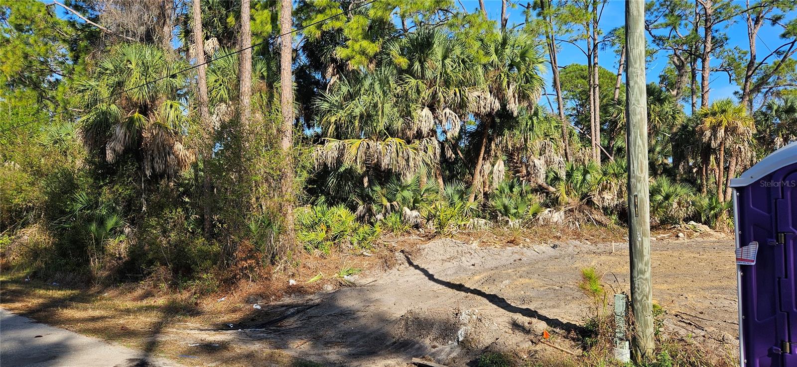 Image 2 of 7 For Stokie Avenue