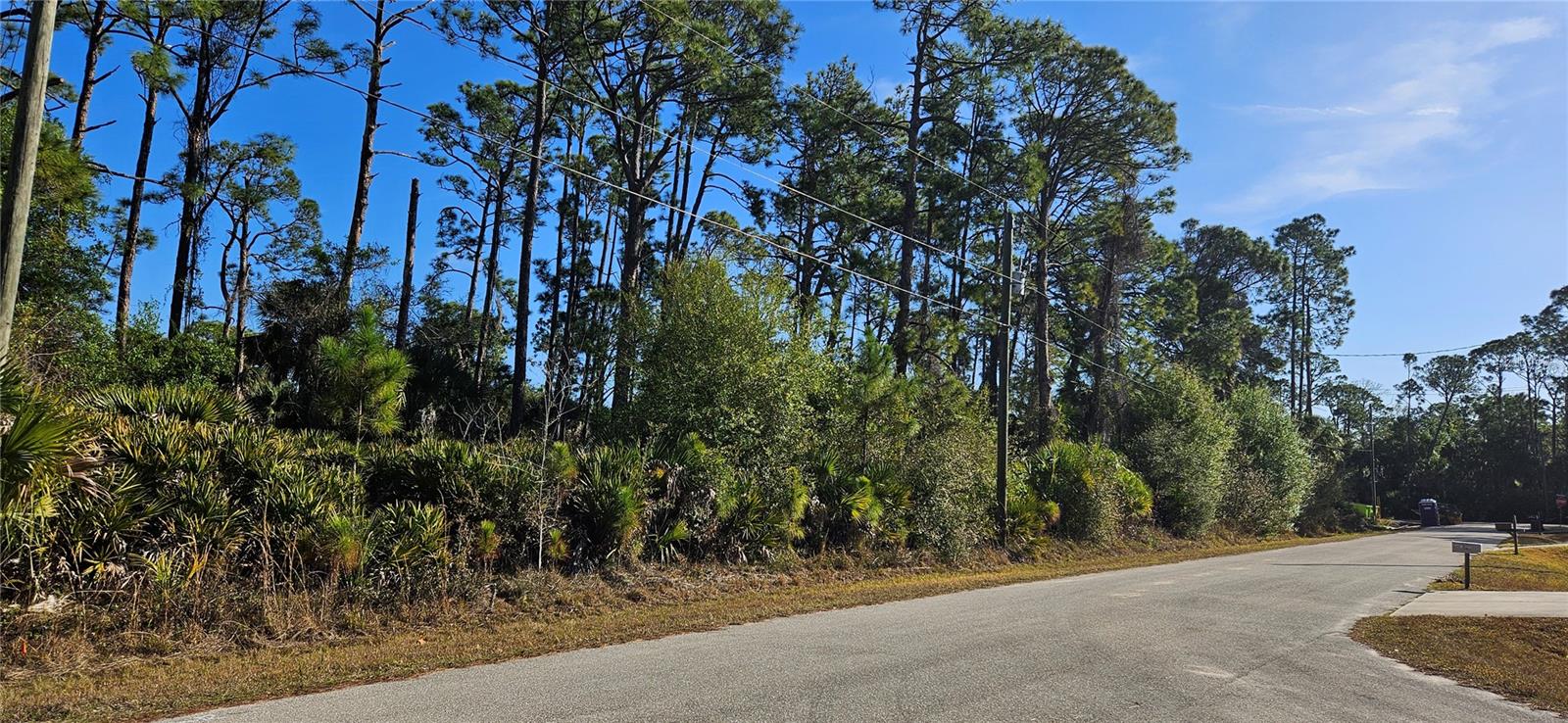 Image 6 of 7 For Stokie Avenue