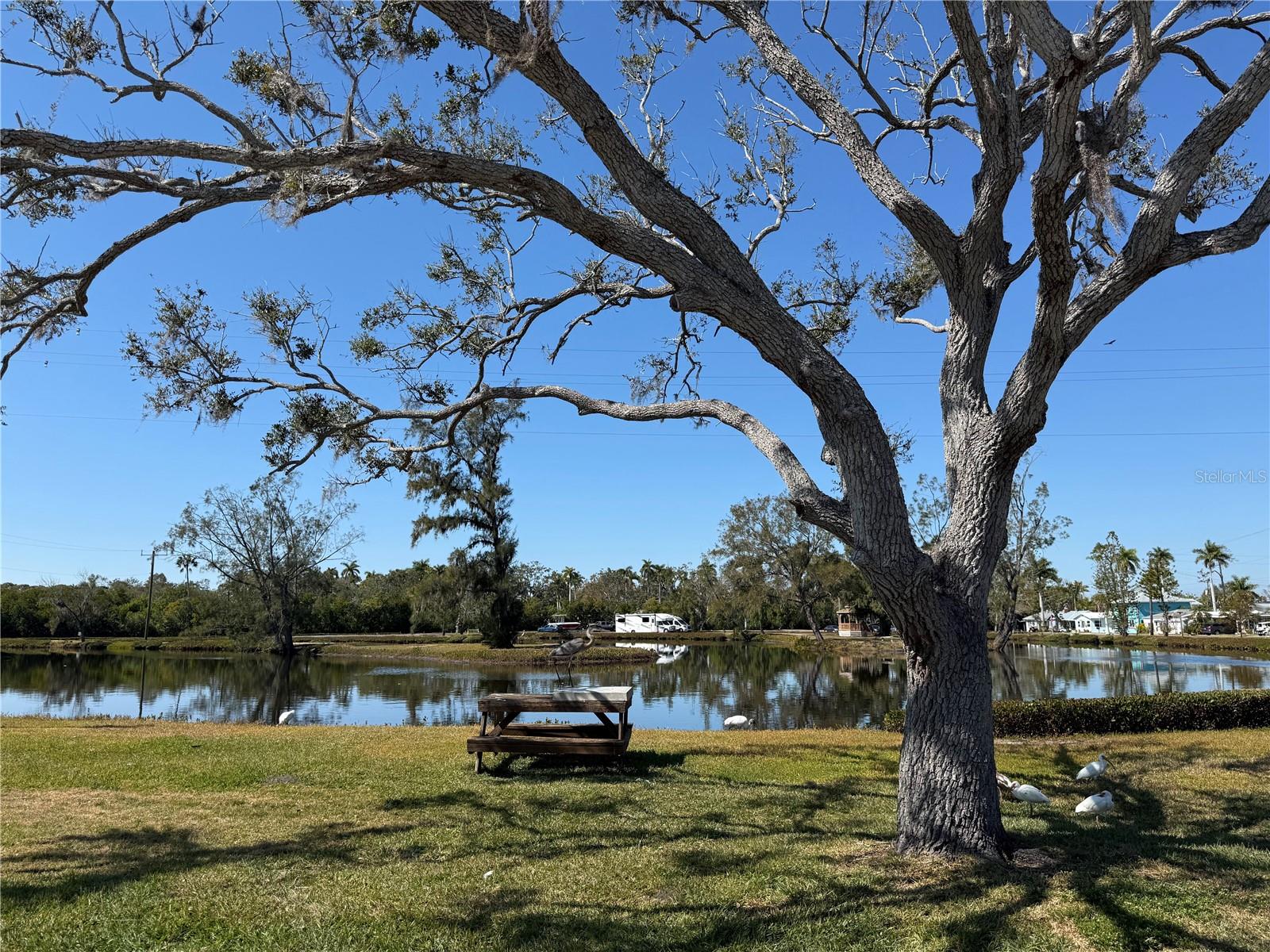 Image 9 of 37 For 9 Ponce De Leon Street