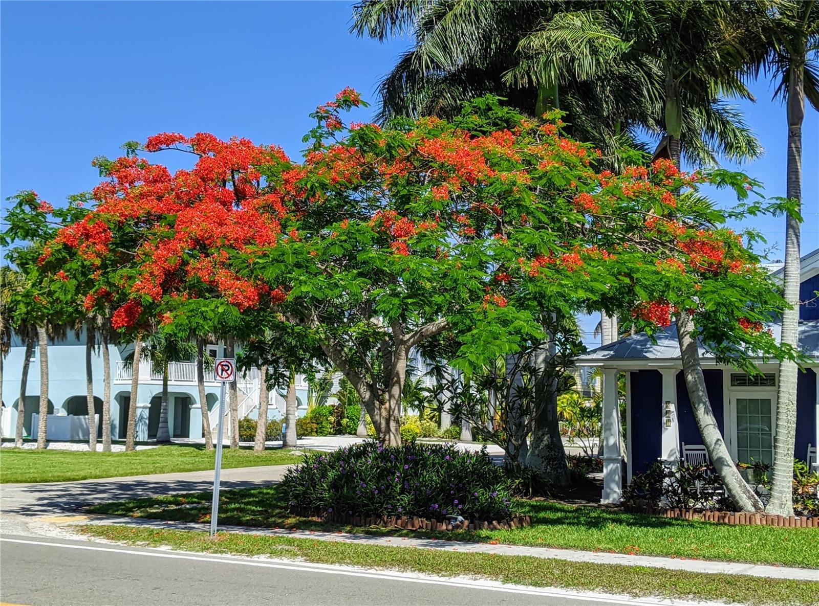 Image 52 of 52 For 2808 60th Avenue W 1702