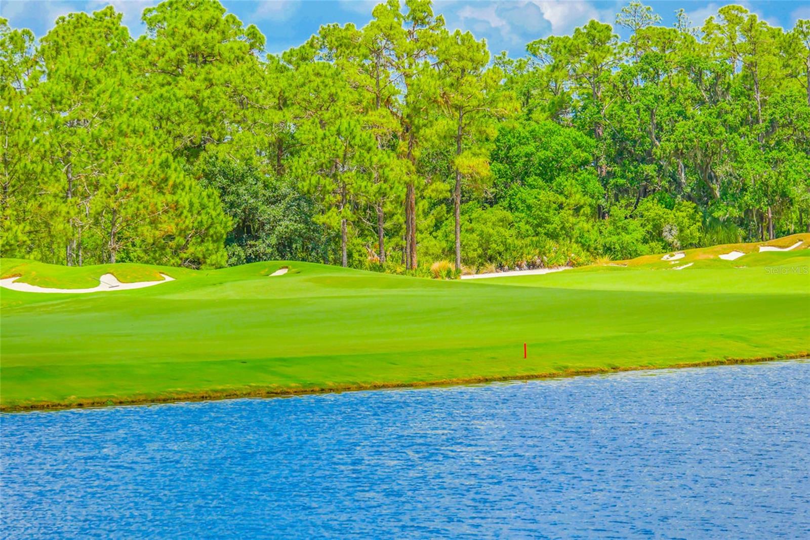 Image 90 of 99 For 8428 Lindrick Lane