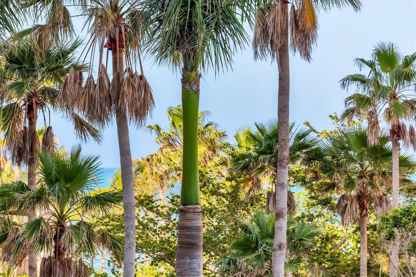 Image 56 of 84 For 1300 Benjamin Franklin Drive 304