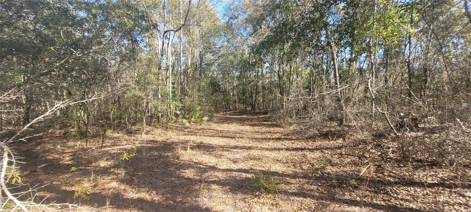 Image 10 of 10 For  Sr751  