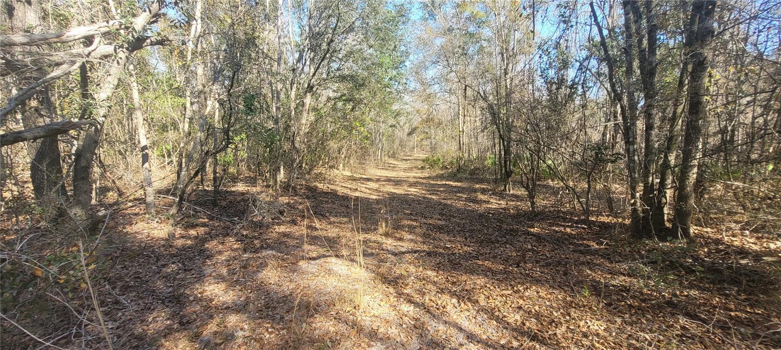 Image 4 of 10 For  Sr751  