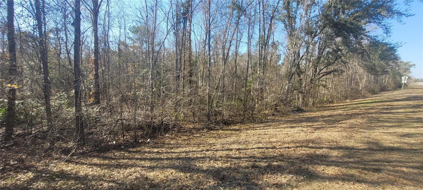 Image 7 of 10 For  Sr751  