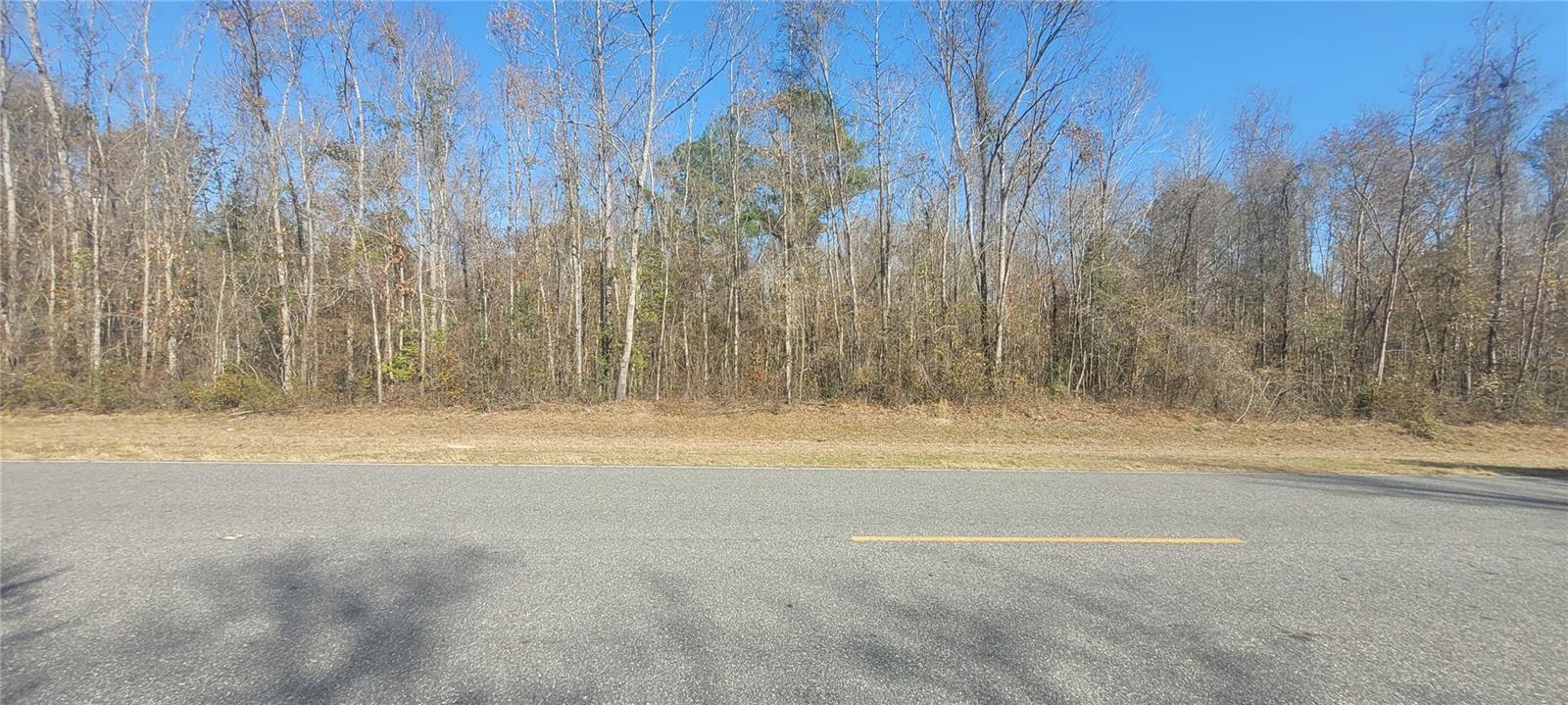 Image 8 of 10 For  Sr751  