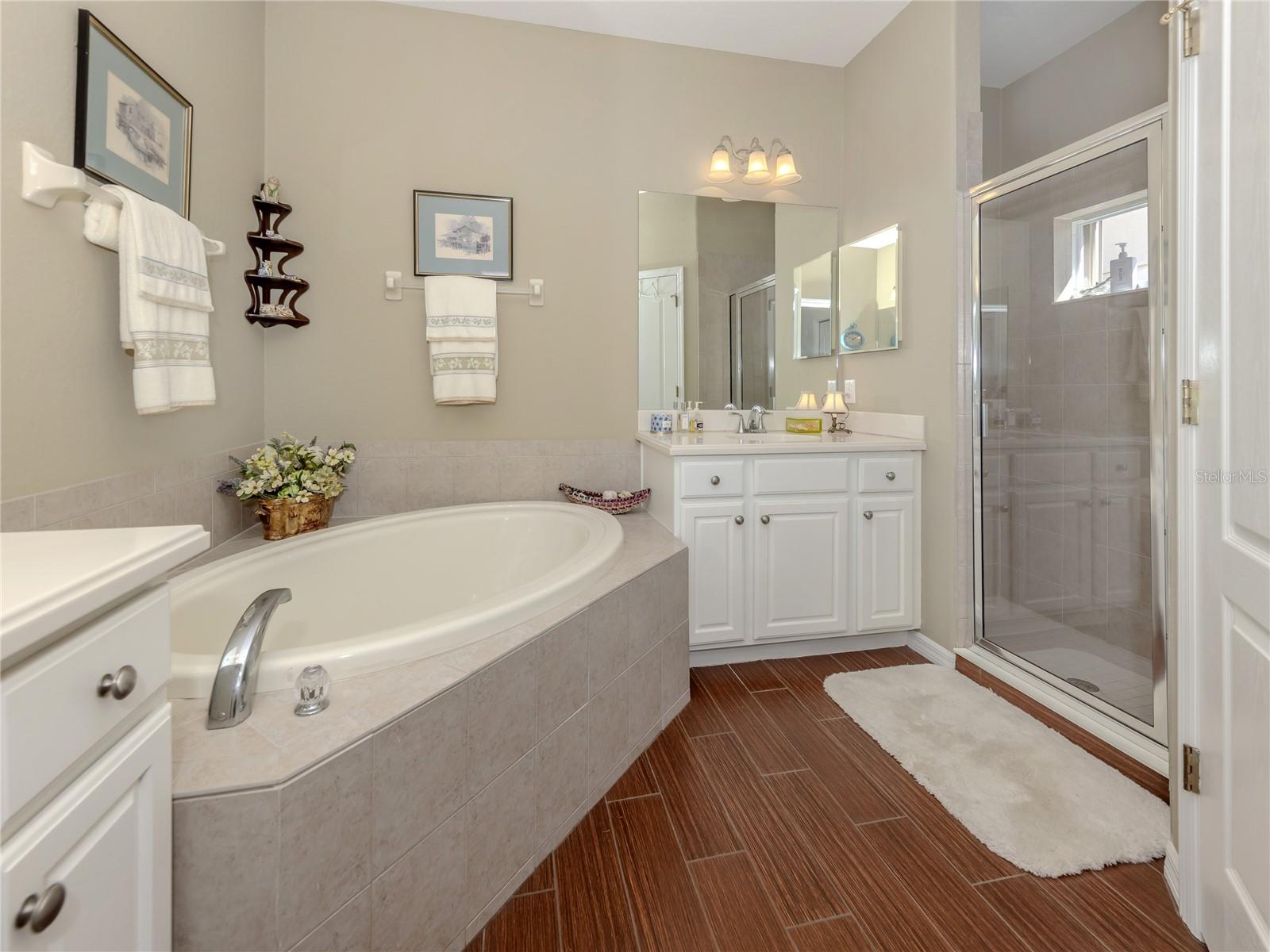 Image 17 of 51 For 11500 Dancing River Drive