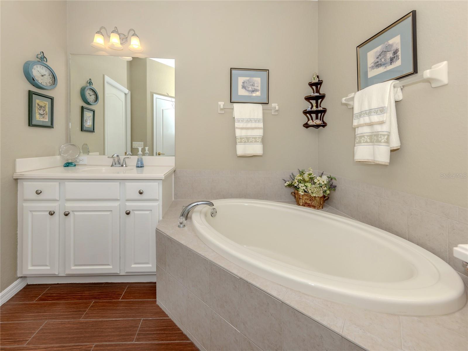 Image 18 of 51 For 11500 Dancing River Drive