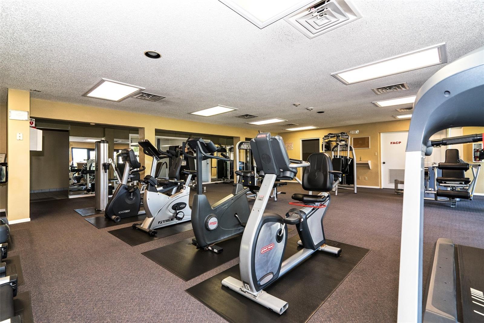 Image 29 of 76 For 5770 Midnight Pass Road 404