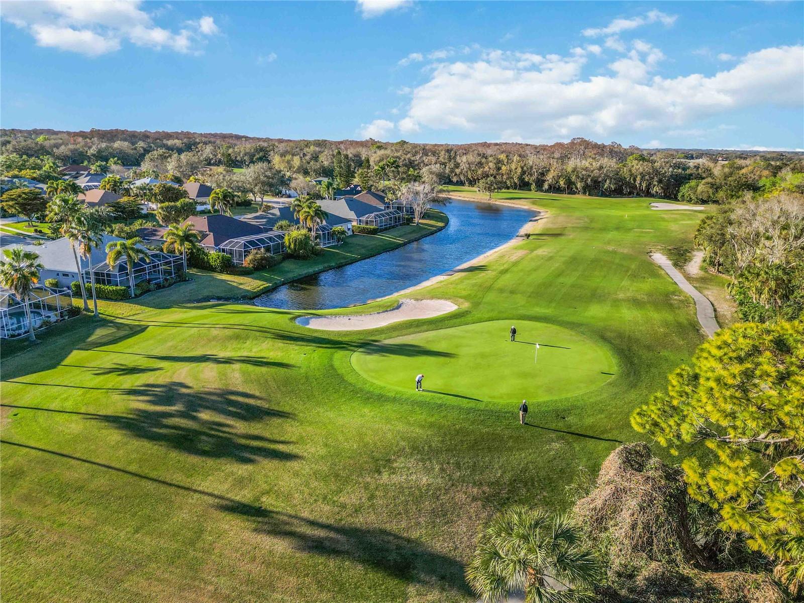 Image 38 of 39 For 9605 Bladesmith Lane