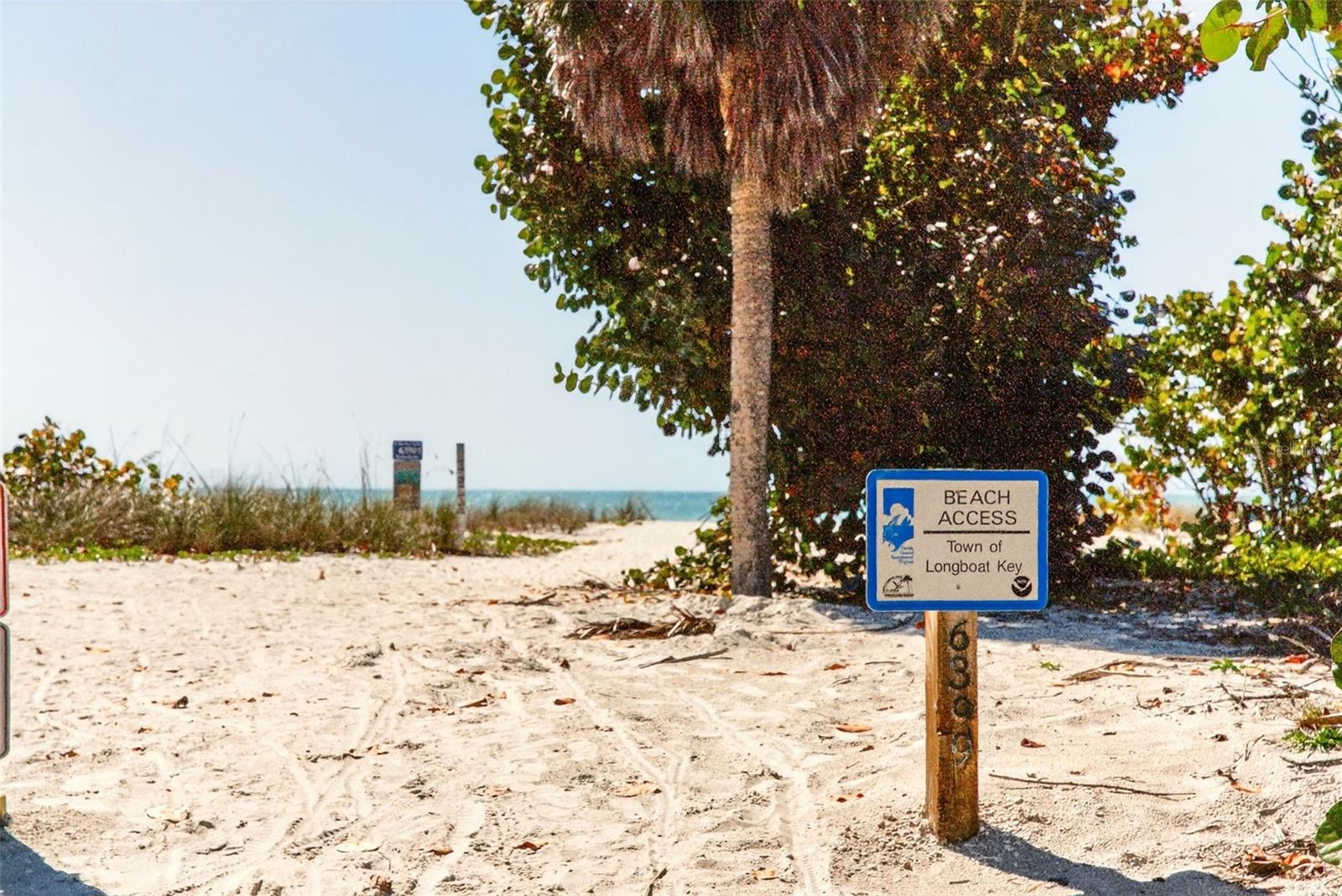 Image 36 of 43 For 550 De Narvaez Drive