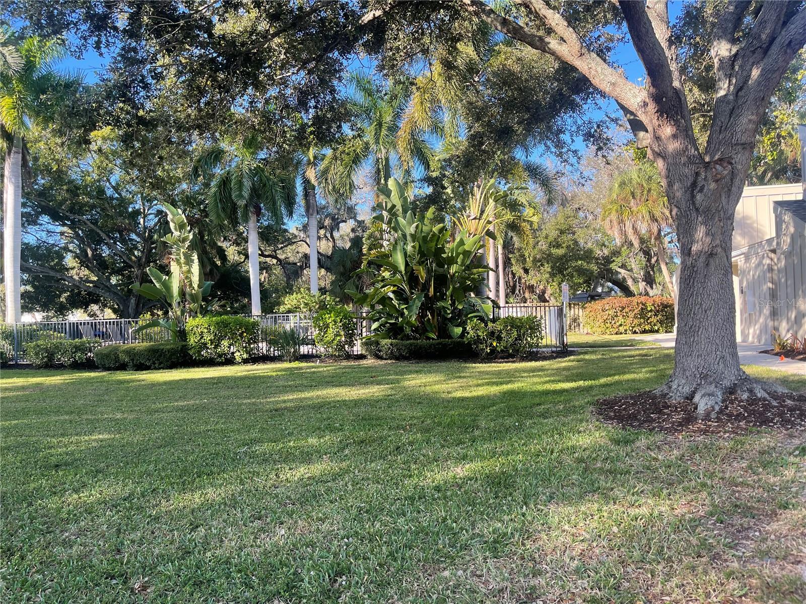 Image 18 of 41 For 2224 Bahia Vista Street E6