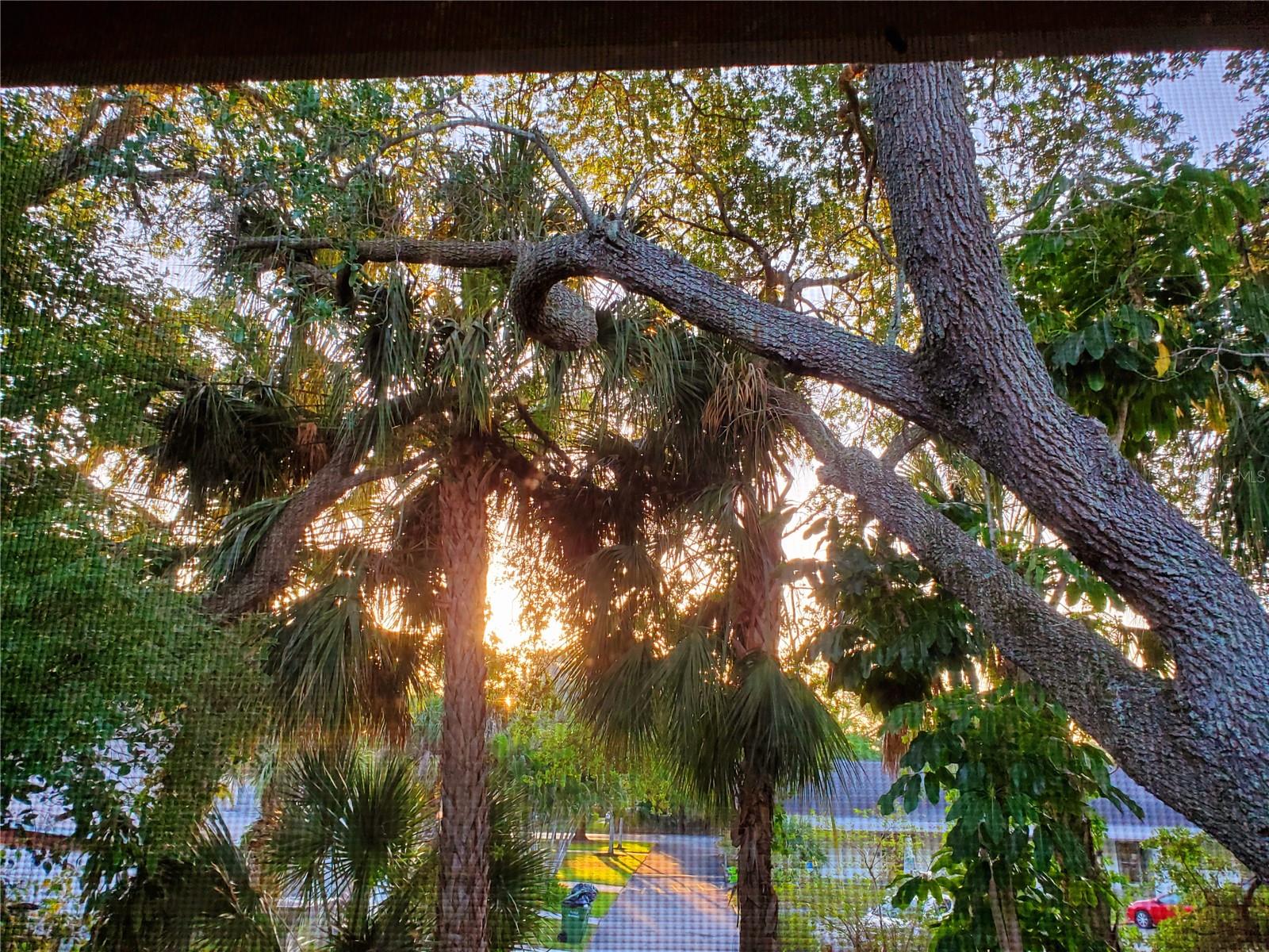 Image 33 of 41 For 2224 Bahia Vista Street E6