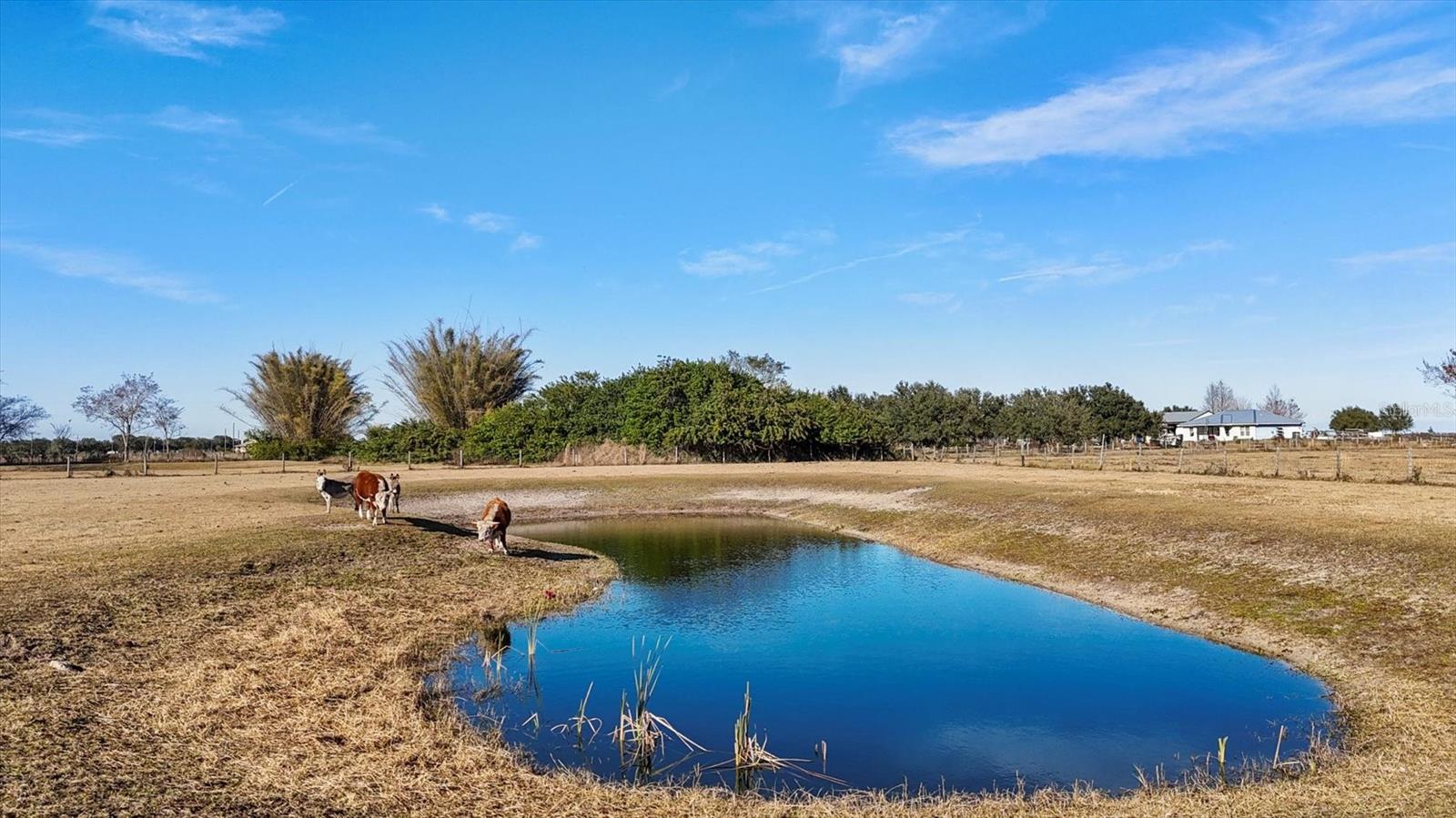 Image 67 of 81 For 14325 Mj Road