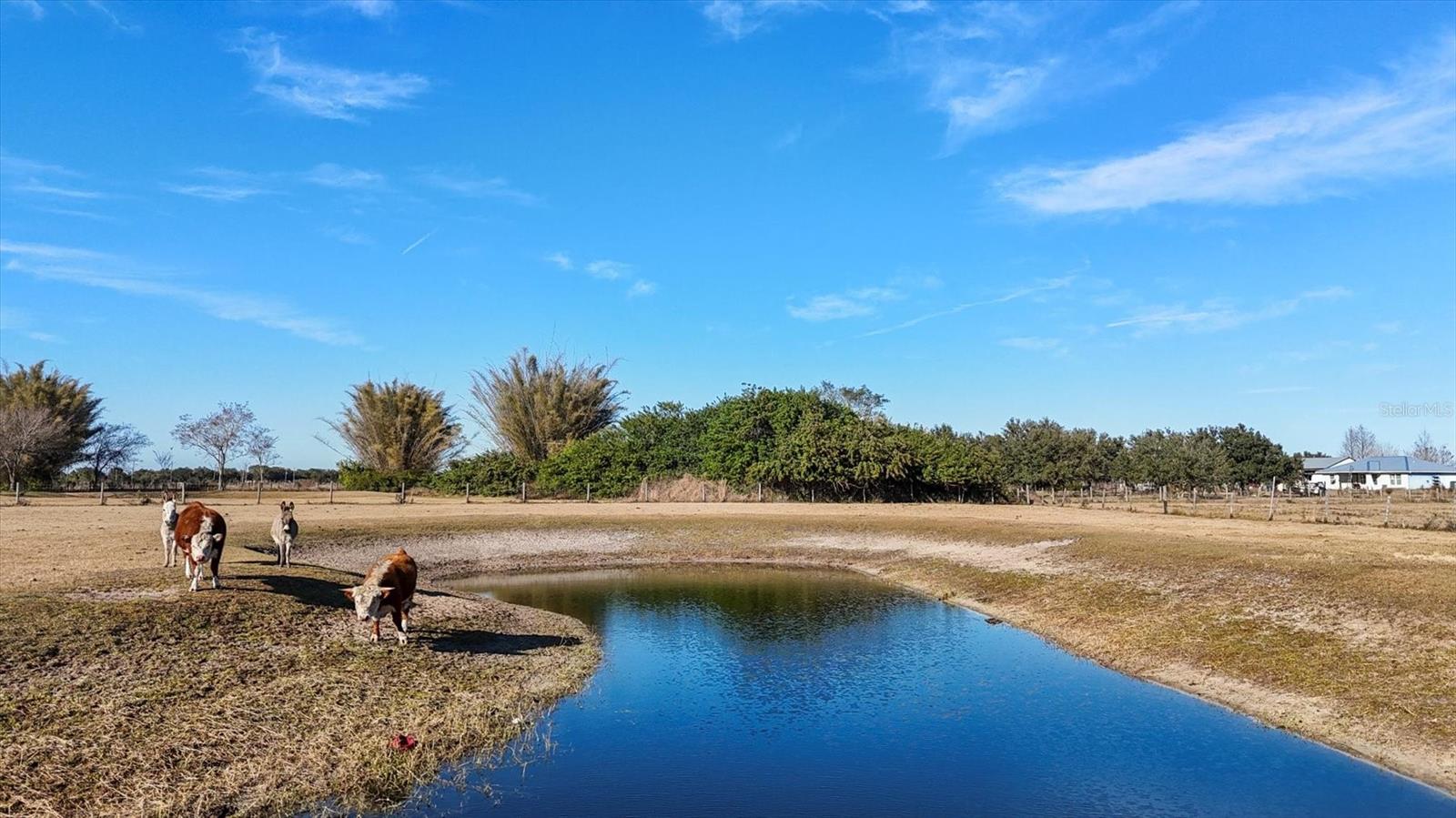 Image 68 of 81 For 14325 Mj Road