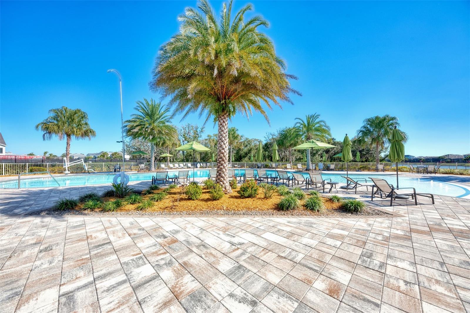 Image 50 of 69 For 11616 Golden Bay Place