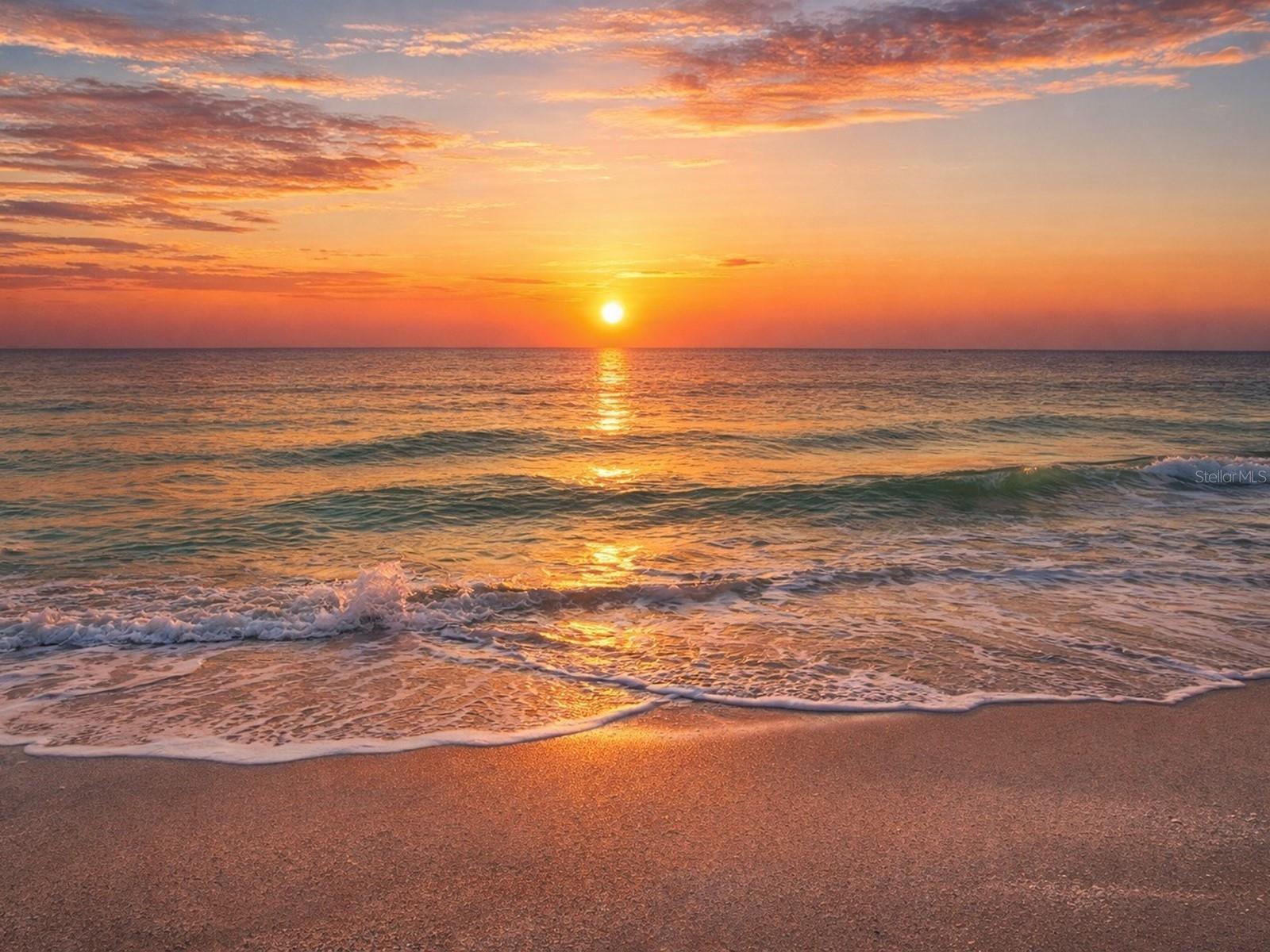 Image 2 of 100 For 1770 Benjamin Franklin Drive 206