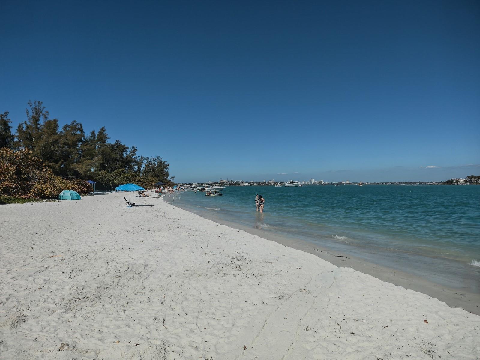 Image 75 of 100 For 1770 Benjamin Franklin Drive 206