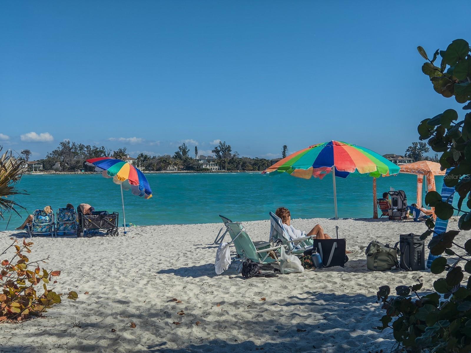 Image 79 of 100 For 1770 Benjamin Franklin Drive 206